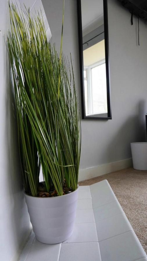 Portobello House - Four Bedroom House Perfect For Contractors - Sleeps 6 - Free Parking Wolverhampton Zewnętrze zdjęcie